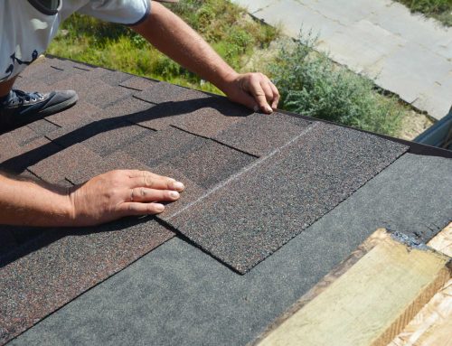 Spring Training for Your Roof: 5 Essential Spring Repairs to Future-Proof Your Home in 2026
