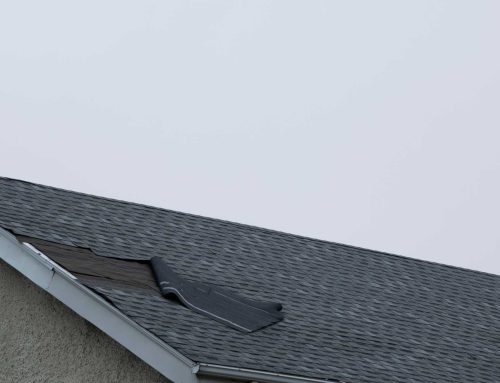 The Multiplication Factor: How Minor Roof Defects Mutate Into Costly Repairs