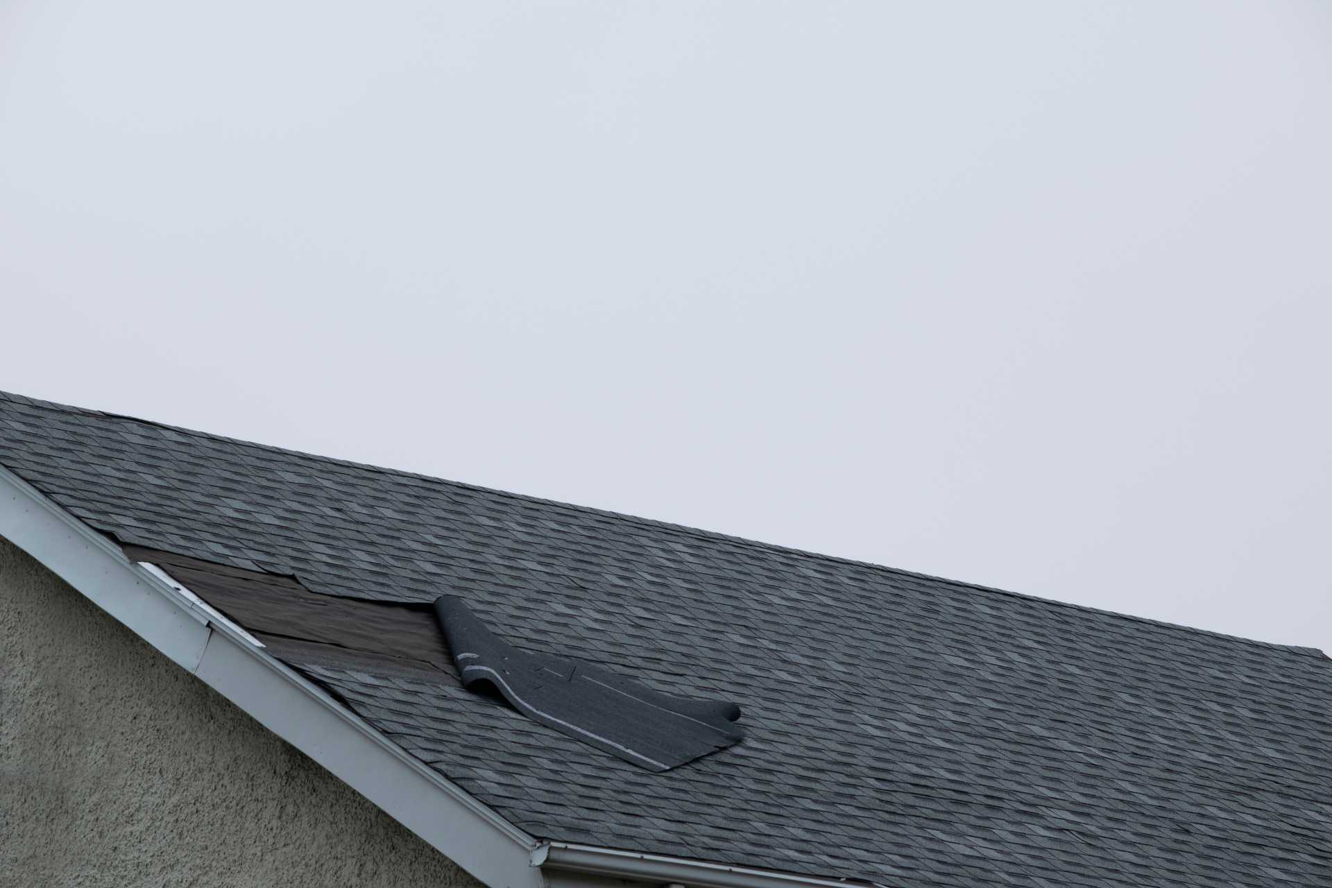 The Multiplication Factor: How Minor Roof Defects Mutate Into Costly Repairs - Golden Horseshoe Construction
